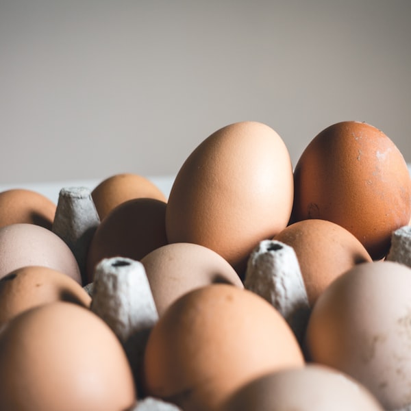 Farm Fresh Egg Basket - Image 1